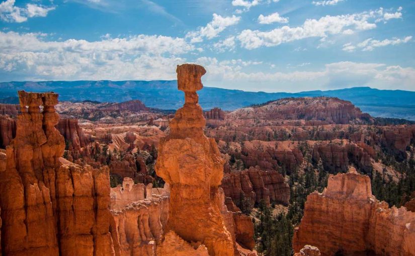 勝利を知ることでパフォーマンスが強化