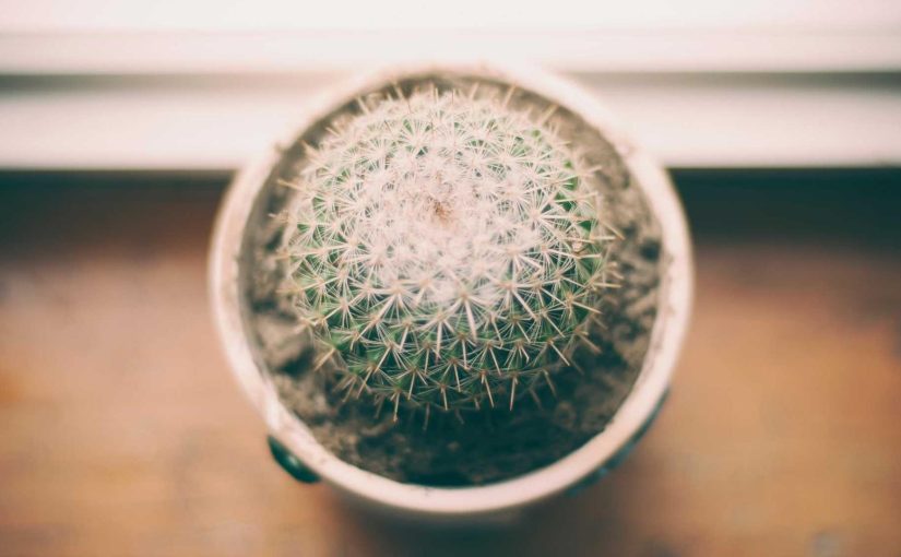 勝ち越したり挑戦したりする意欲