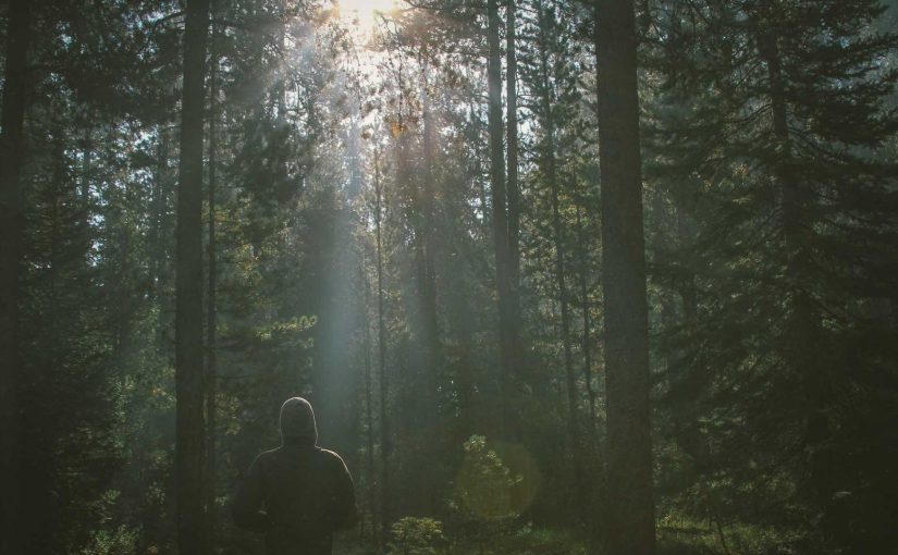 スポーツ観察で勝利を狙う