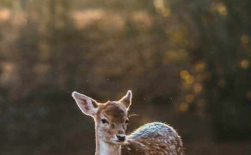 努力を重ねて最高の成績を目指す