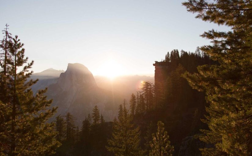 背中合わせで勝利を野望する
