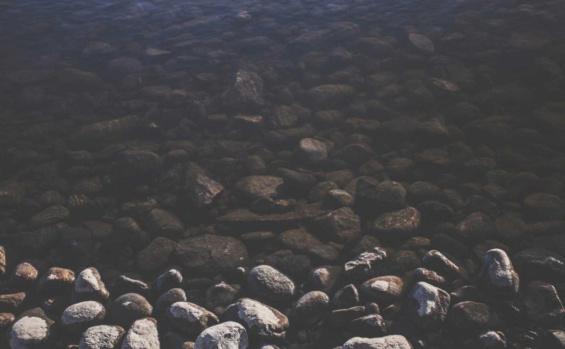 勝ちにいく道に出会う