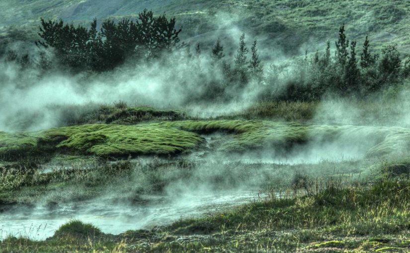 フィジカル活動を通して学べること