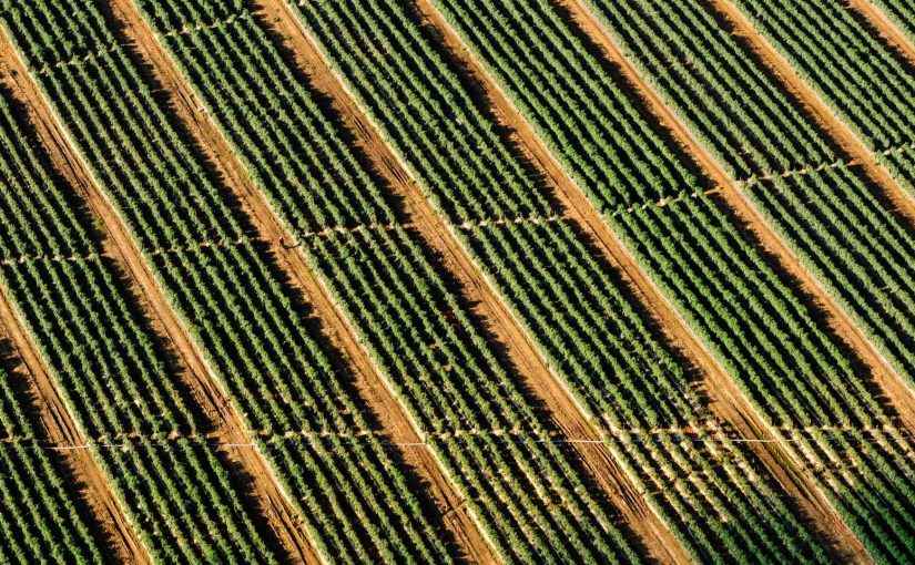 スポーツ選手の豊かな生活