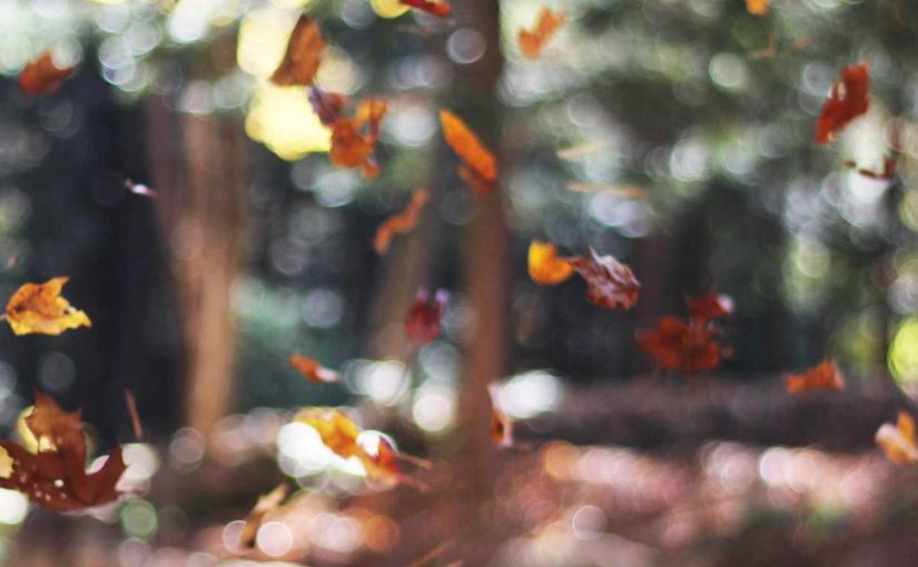 心を強く養うスポーツ