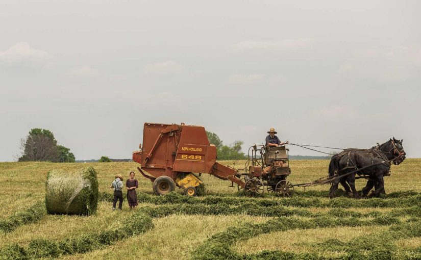 スポーツを応援しよう！